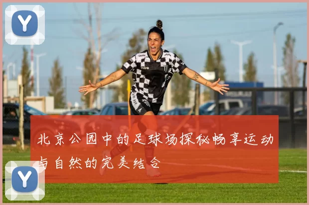 北京公园中的足球场探秘畅享运动与自然的完美结合