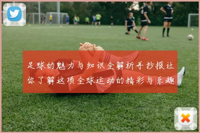 足球的魅力与知识全解析手抄报让你了解这项全球运动的精彩与乐趣