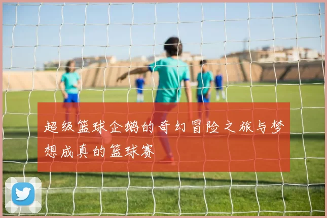 超级篮球企鹅的奇幻冒险之旅与梦想成真的篮球赛