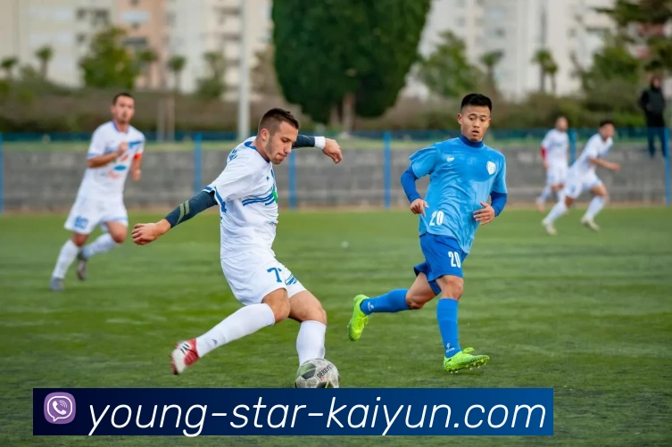 App功能展示图
